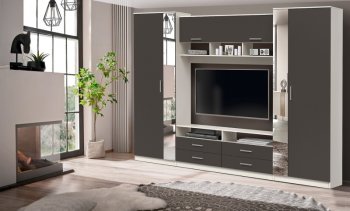 ШМЦ Вена  91.01 с зеркалом в Черепаново - mebel154.com