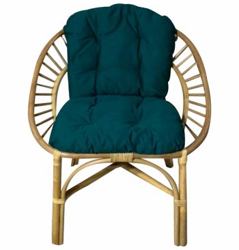Кресло RJG-Princess (Ротанг №4, ткань JPN DRILL 034) в Черепаново - mebel154.com