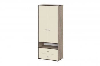 Шкаф 2-х  Этна в Черепаново - mebel154.com