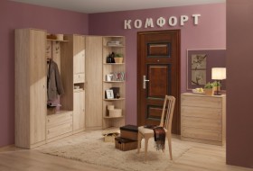 Шкаф для одежды 2-х дверный 6 Комфорт в Черепаново - mebel154.com