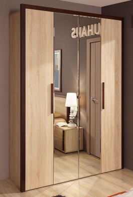 Шкаф для одежды 2-х дверный 9 Bauhaus в Черепаново - mebel154.com