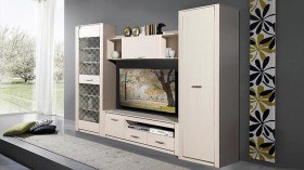Шкаф для одежды Рапсодия в Черепаново - mebel154.com