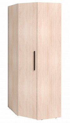 Шкаф для одежды угловой 12 Bauhaus в Черепаново - mebel154.com