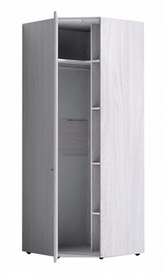 Шкаф для одежды угловой 56-2 Paola в Черепаново - mebel154.com